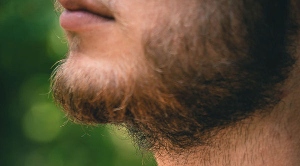 The Ultimate Guide to Preventing and Treating Ingrown Beard Hairs and Split Ends